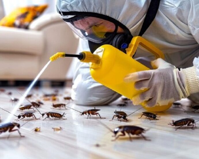 Cleanliness and Pest Control