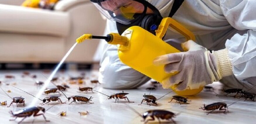 Cleanliness and Pest Control