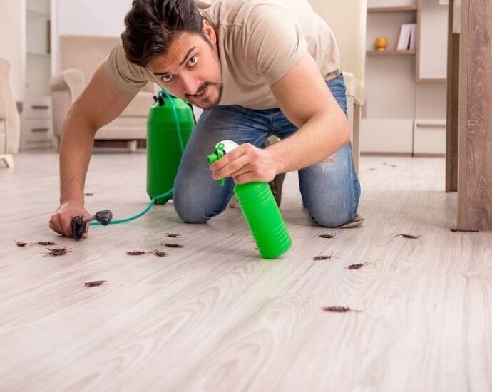 DIY Pest Control