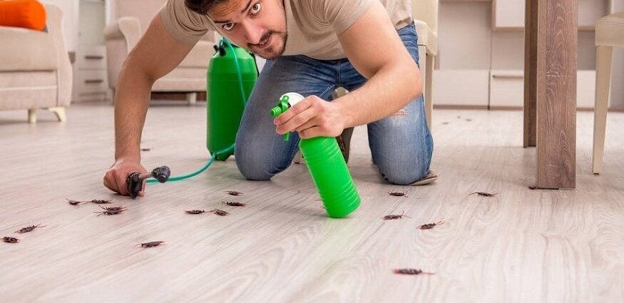 DIY Pest Control