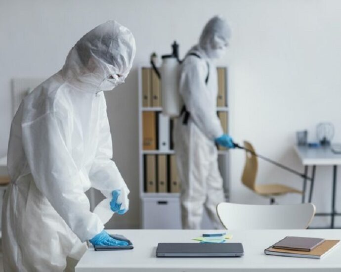 Full-Service Pest Control in Burke