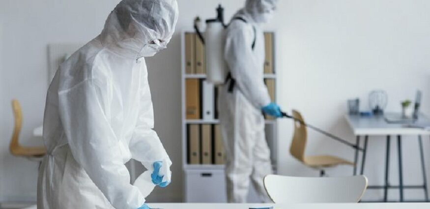 Full-Service Pest Control in Burke