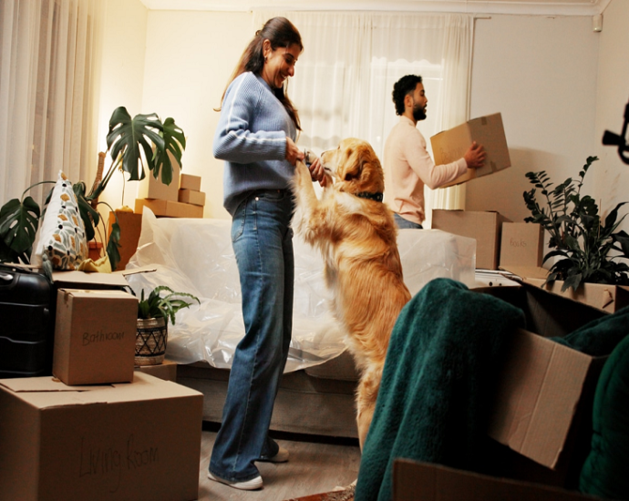 MOVING WITH PETS