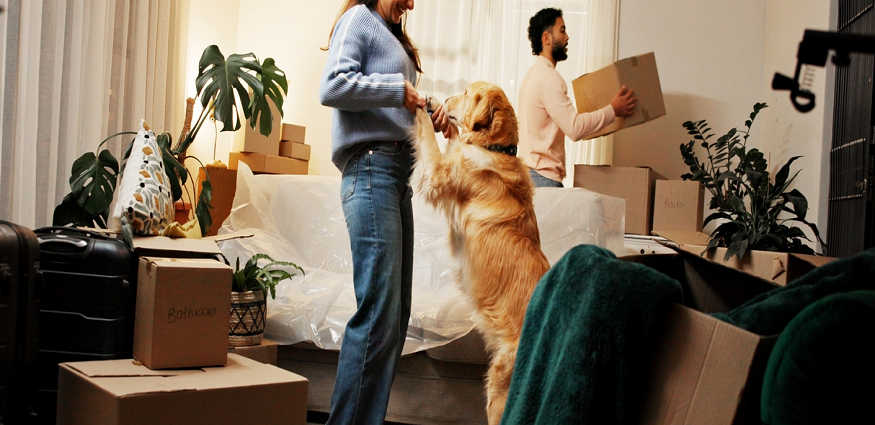 MOVING WITH PETS